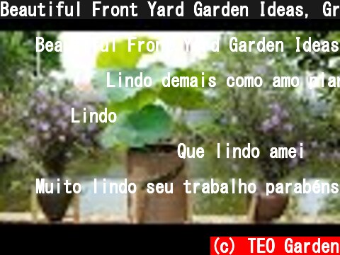 Beautiful Front Yard Garden Ideas, Grow Lotus at Home | TEO Garden  (c) TEO Garden