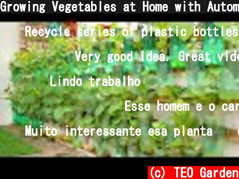 Growing Vegetables at Home with Automatic Watering, Vertical Vegetable Garden Ideas  (c) TEO Garden