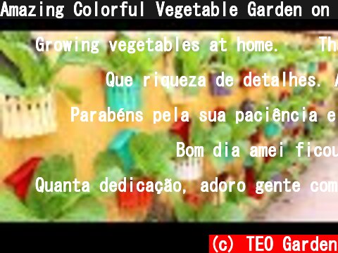 Amazing Colorful Vegetable Garden on Wall, Growing Vegetables at Home  (c) TEO Garden