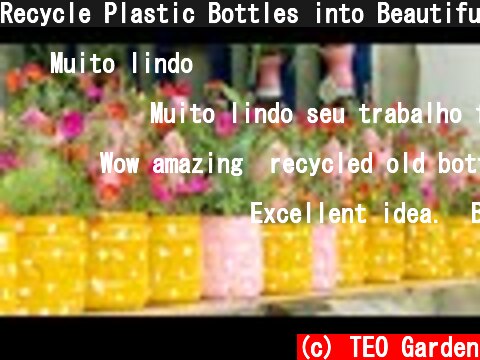 Recycle Plastic Bottles into Beautiful Flower Pots for Your Garden  (c) TEO Garden