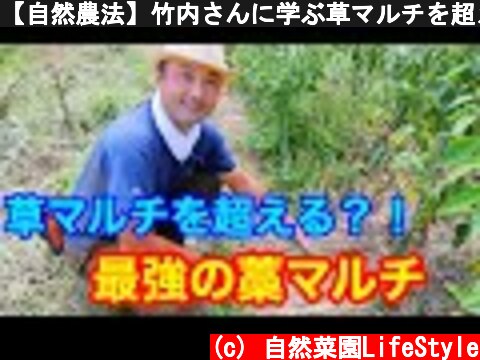 【自然農法】竹内さんに学ぶ草マルチを超える新テクニック「藁マルチ」！？  (c) 自然菜園LifeStyle