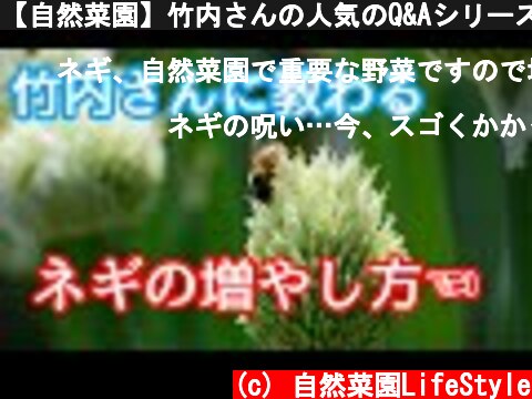 【自然菜園】竹内さんの人気のQ&Aシリーズ３★「ネギの増やし方」  (c) 自然菜園LifeStyle