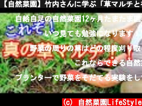 【自然菜園】竹内さんに学ぶ「草マルチと補いのワザ」！  (c) 自然菜園LifeStyle