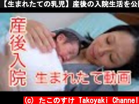 【生まれたての乳児】産後の入院生活を公開！！  (c) たこのすけ Takoyaki Channel