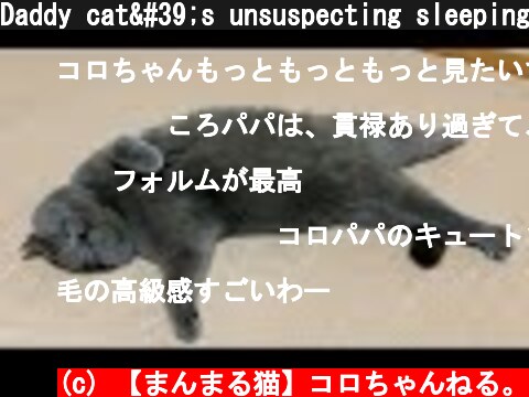 Daddy cat's unsuspecting sleeping appearance #Shorts  (c) 【まんまる猫】コロちゃんねる。