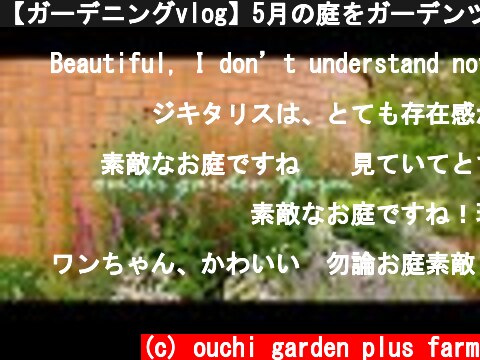 【ガーデニングvlog】5月の庭をガーデンツアー【 gardening vlog】  (c) ouchi garden plus farm