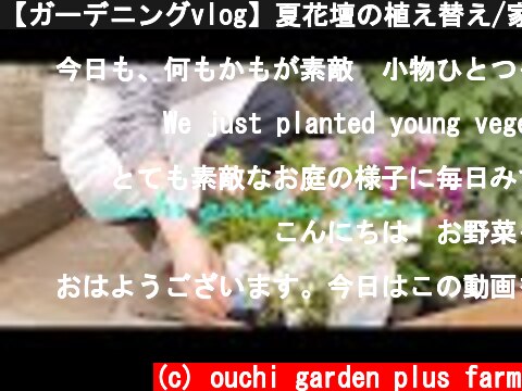 【ガーデニングvlog】夏花壇の植え替え/家庭菜園の収穫/ 採れたてサラダを作った日/The day the summer flowers were planted.【gardening vlog】  (c) ouchi garden plus farm