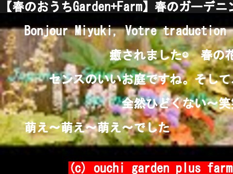 【春のおうちGarden+Farm】春のガーデニングと花を買う【Vlog】  (c) ouchi garden plus farm
