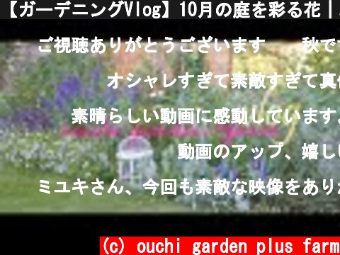 【ガーデニングVlog】10月の庭を彩る花｜パンジーとビオラの種蒔き｜ぶどうの収穫とクラフティ作り【暮らしのvlog】  (c) ouchi garden plus farm