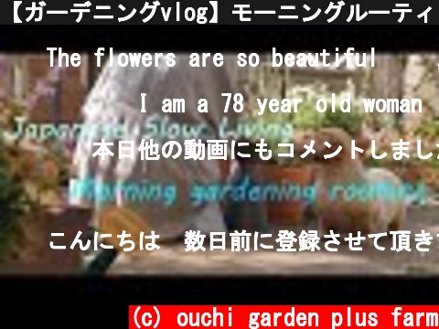 【ガーデニングvlog】モーニングルーティン|新しく植えたお花を紹介します【 gardening vlog】  (c) ouchi garden plus farm