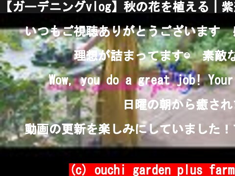 【ガーデニングvlog】秋の花を植える｜紫蘇で作るジェノベーゼパスタ｜植物が教えてくれる事【暮らしのvlog】  (c) ouchi garden plus farm