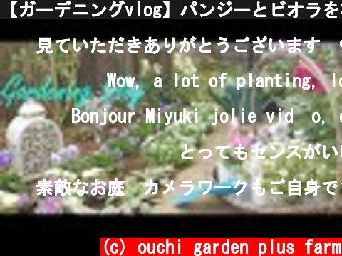 【ガーデニングvlog】パンジーとビオラを花壇に植える｜お花屋さんで花を買う｜冬の花壇の準備  (c) ouchi garden plus farm