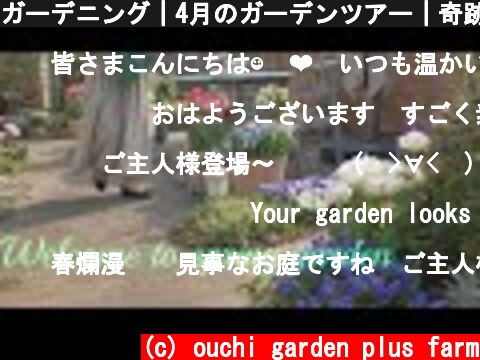 ガーデニング｜4月のガーデンツアー｜奇跡のように美しい春の花｜お花見と新しい花を買う  (c) ouchi garden plus farm