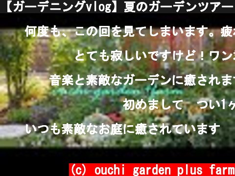 【ガーデニングvlog】夏のガーデンツアー｜彼との最後のシーズン🐕｜ナチュラルガーデンに咲く花｜ブルーベリージャムとホットケーキ【暮らしのvlog】  (c) ouchi garden plus farm