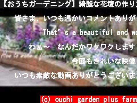 【おうちガーデニング】綺麗な花壇の作り方。｜冬から春の花壇作り。｜ガーデニング初心者様にもおすすめの植え方です🌷  (c) ouchi garden plus farm