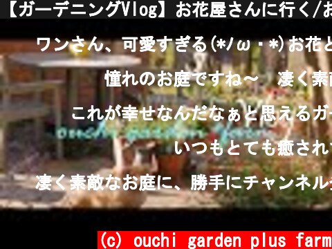 【ガーデニングVlog】お花屋さんに行く/お庭でコーヒーを/お花と野菜たちを紹介します【GardeningVlog】  (c) ouchi garden plus farm