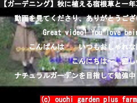 【ガーデニング】秋に植える宿根草と一年草を紹介します｜一気にナチュラルガーデンに近づける花は何？｜一押しを紹介する動画です。  (c) ouchi garden plus farm