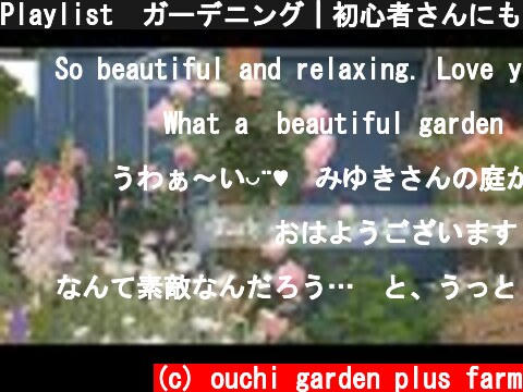 Playlist🎵ガーデニング｜初心者さんにもおすすめの薔薇たちをご紹介｜5月の庭のまとめ  (c) ouchi garden plus farm