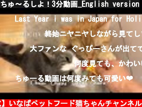 ちゅ～るしよ！3分動画_English version  (c) 【公式】いなばペットフード猫ちゃんチャンネル