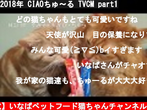 2018年 CIAOちゅ〜る TVCM part1  (c) 【公式】いなばペットフード猫ちゃんチャンネル