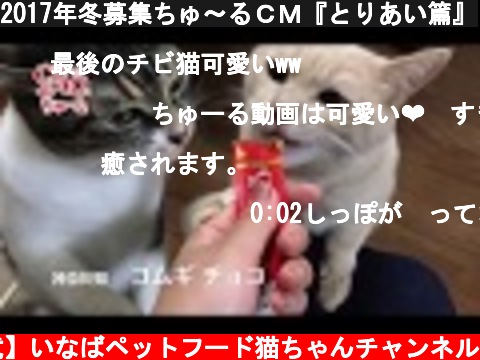 2017年冬募集ちゅ～るＣＭ『とりあい篇』  (c) 【公式】いなばペットフード猫ちゃんチャンネル