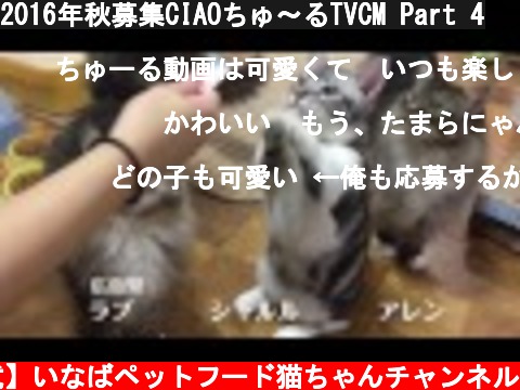 2016年秋募集CIAOちゅ～るTVCM Part 4  (c) 【公式】いなばペットフード猫ちゃんチャンネル