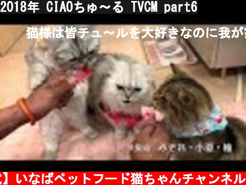 2018年 CIAOちゅ〜る TVCM part6  (c) 【公式】いなばペットフード猫ちゃんチャンネル