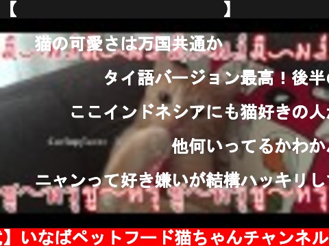 【โฆษณาเผยแพร่】เชา ชู～หรุ MV「มาชู～หรุกันเถอะ！」  (c) 【公式】いなばペットフード猫ちゃんチャンネル