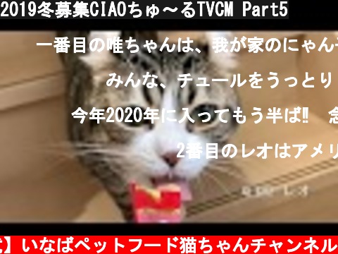2019冬募集CIAOちゅ～るTVCM Part5  (c) 【公式】いなばペットフード猫ちゃんチャンネル