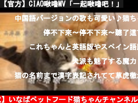 【官方】CIAO啾嚕MV「一起啾嚕吧！」  (c) 【公式】いなばペットフード猫ちゃんチャンネル
