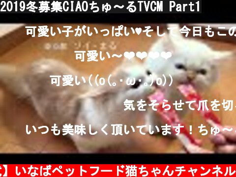 2019冬募集CIAOちゅ～るTVCM Part1  (c) 【公式】いなばペットフード猫ちゃんチャンネル
