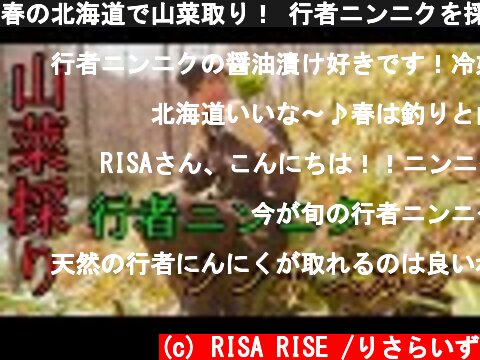 春の北海道で山菜取り！ 行者ニンニクを採ってその場でジンギスカン♪  (c) RISA RISE /りさらいず