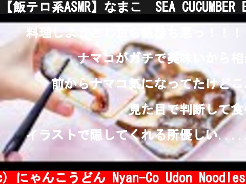 【飯テロ系ASMR】なまこ  SEA CUCUMBER EATING SOUNDS 너무 싱싱한 해삼 먹방, ปลิงทะเล, Hải sâm, Timun laut, 해산물【咀嚼音】  (c) にゃんこうどん Nyan-Co Udon Noodles