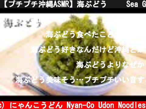 【プチプチ沖縄ASMR】海ぶどう🌊🍇 Sea Grapes Eating Sounds【咀嚼音】  (c) にゃんこうどん Nyan-Co Udon Noodles