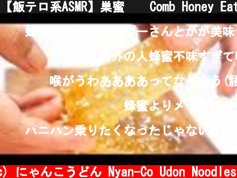 【飯テロ系ASMR】巣蜜🍯  Comb Honey Eating Sounds【咀嚼音】  (c) にゃんこうどん Nyan-Co Udon Noodles