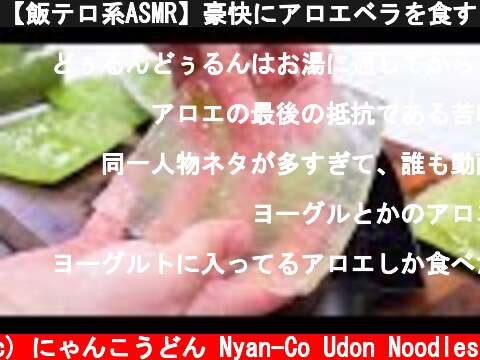 【飯テロ系ASMR】豪快にアロエベラを食す！ ALOE VERA Eating Sounds【咀嚼音】  (c) にゃんこうどん Nyan-Co Udon Noodles