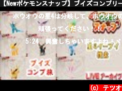 【Newポケモンスナップ】ブイズコンプリート撮影会｜イーブイ星4以外コンプ  (c) テツオ