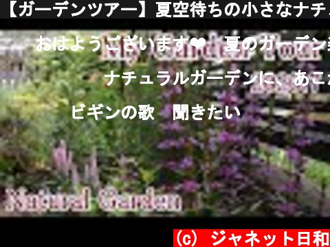 【ガーデンツアー】夏空待ちの小さなナチュラルガーデン/７月の庭の景色  (c) ジャネット日和