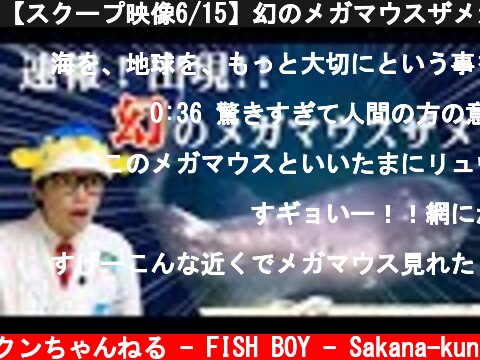 【スクープ映像6/15】幻のメガマウスザメが館山に出現！さかなクン解説します！  (c) さかなクンちゃんねる - FISH BOY - Sakana-kun