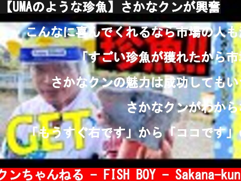 【UMAのような珍魚】さかなクンが興奮  (c) さかなクンちゃんねる - FISH BOY - Sakana-kun