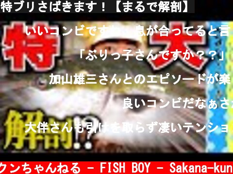 特ブリさばきます！【まるで解剖】  (c) さかなクンちゃんねる - FISH BOY - Sakana-kun