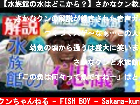 【水族館の水はどこから？】さかなクン教える水族館の不思議&魅力！！  (c) さかなクンちゃんねる - FISH BOY - Sakana-kun