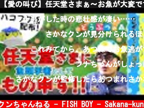 【愛の叫び】任天堂さまぁ～お魚が大変ですよ！【あつ森#3】  (c) さかなクンちゃんねる - FISH BOY - Sakana-kun
