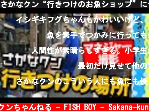さかなクン“行きつけのお魚ショップ”にサプライズ【マネジャーが撮影】  (c) さかなクンちゃんねる - FISH BOY - Sakana-kun