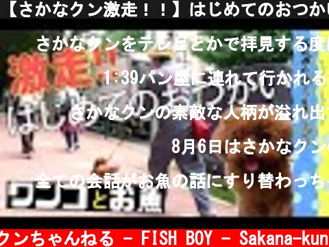 【さかなクン激走！！】はじめてのおつかい  (c) さかなクンちゃんねる - FISH BOY - Sakana-kun