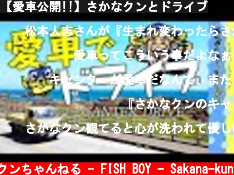 【愛車公開!!】さかなクンとドライブ  (c) さかなクンちゃんねる - FISH BOY - Sakana-kun