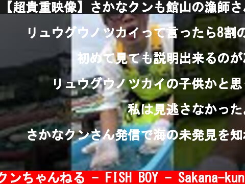 【超貴重映像】さかなクンも館山の漁師さんも見たことがないお魚が！！#Shorts  (c) さかなクンちゃんねる - FISH BOY - Sakana-kun