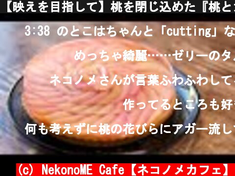 【映えを目指して】桃を閉じ込めた『桃とカルピスのゼリータルト』を作ってみた　Peach Capico Jelly Tart  (c) NekonoME Cafe【ネコノメカフェ】