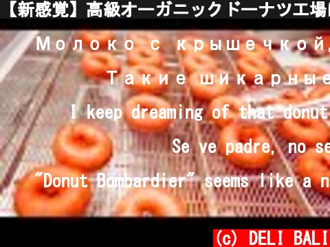 【新感覚】高級オーガニックドーナツ工場に密着！ASMR 京都 グルメ 職人技 日本【koe donuts】Amazing Luxury Donut Factory in Kyoto Japan!  (c) DELI BALI