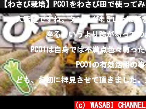 【わさび栽培】PC01をわさび田で使ってみた【KOMATSU】  (c) WASABI CHANNEL